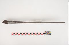 Foto von Eisenlanzenspitze (NHMW-PRAE-002269)